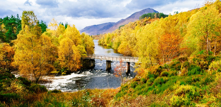 Media Image